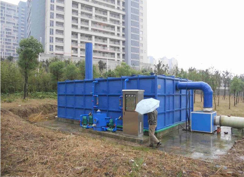 �ӱ���������������